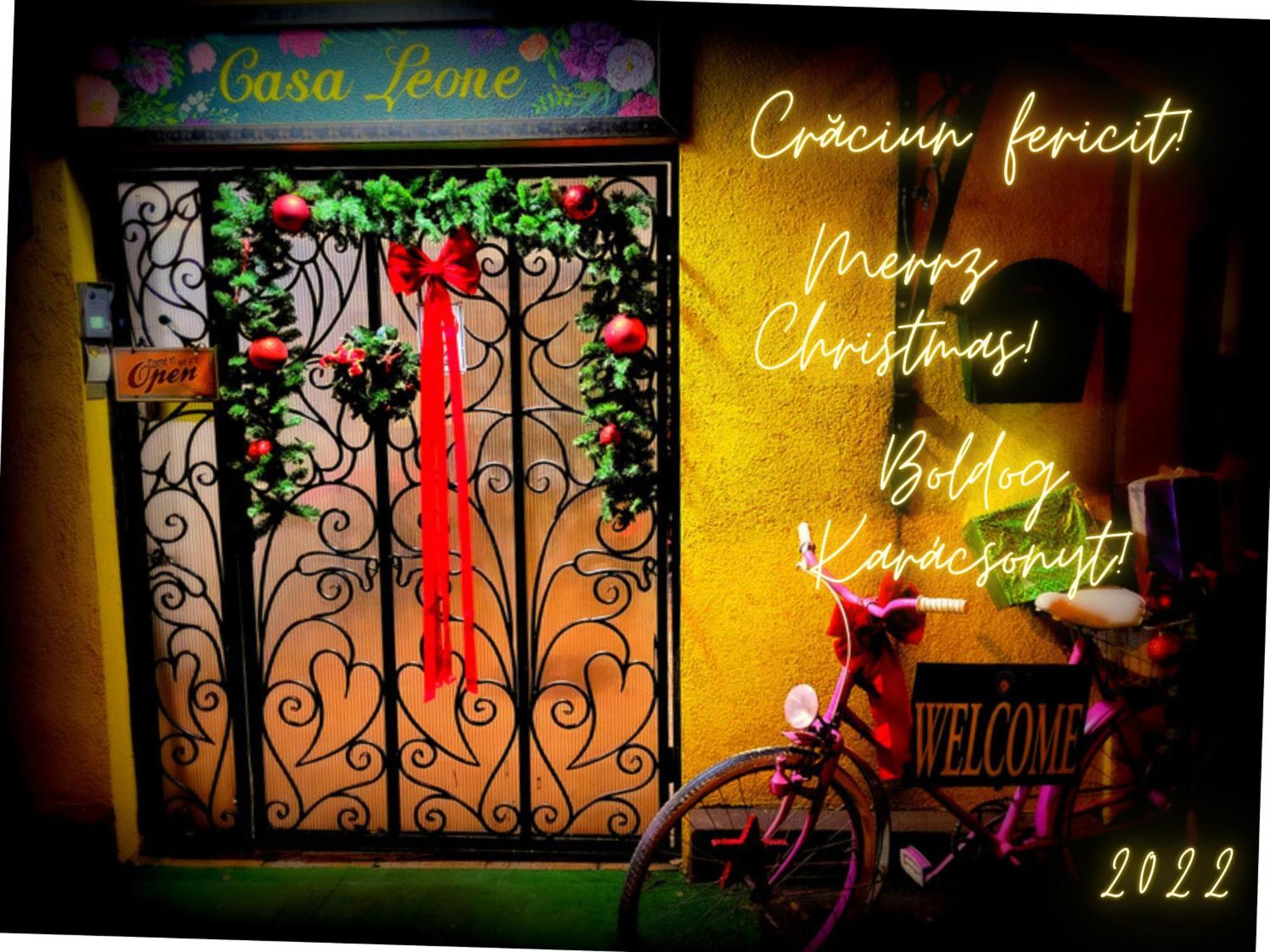 Guest house Casa Leone Timisoara